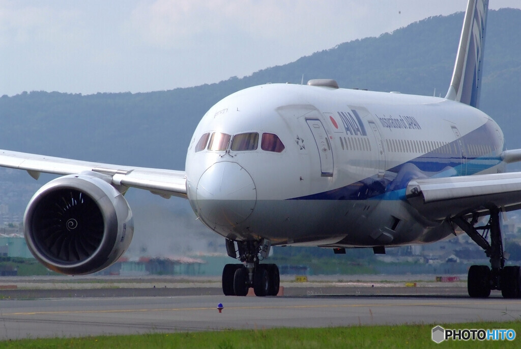 Delusional tripⅧ GW✈Boeing 787-8