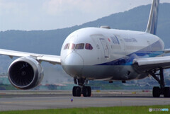 Delusional tripⅧ GW✈Boeing 787-8