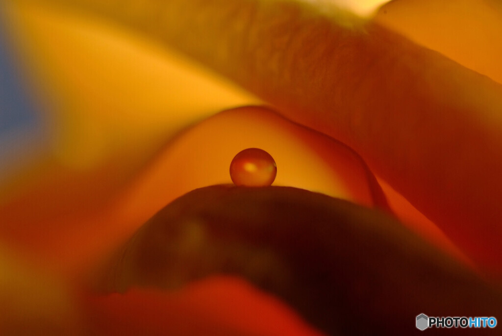 秘密の花園✿瞳