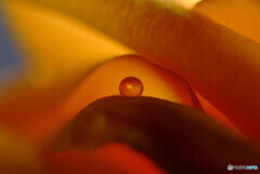 秘密の花園✿瞳