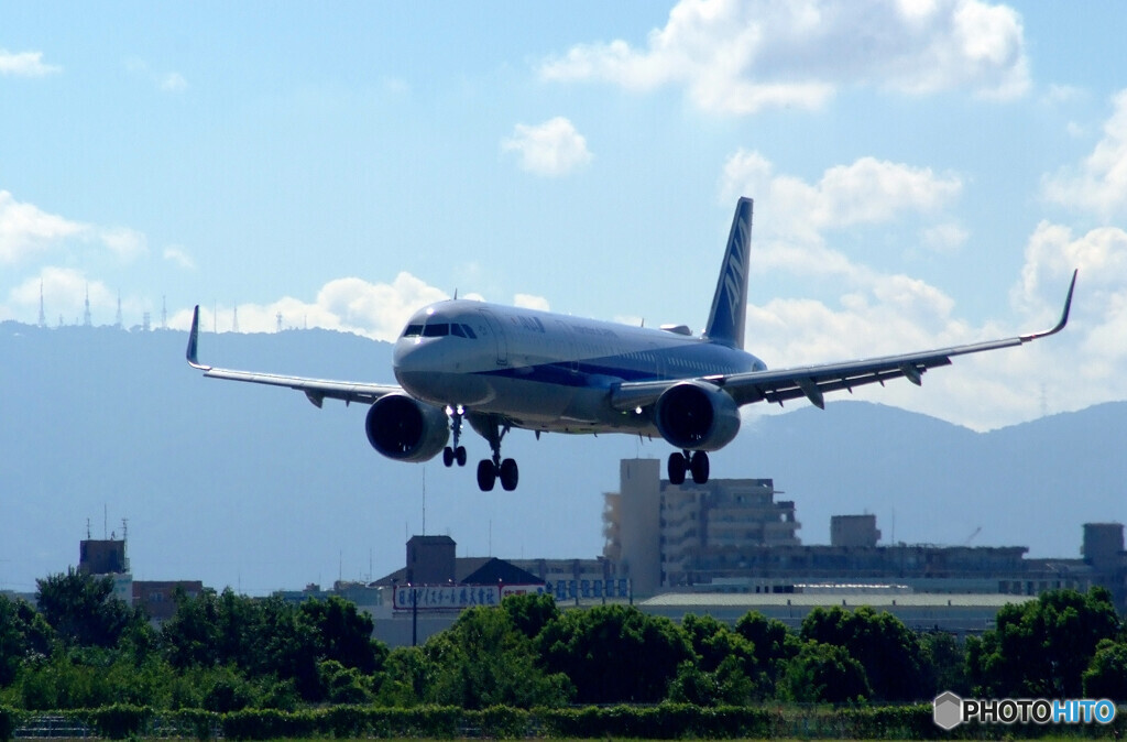 Endless SummerⅧ✈Airbus A321-211 