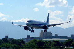 Endless SummerⅧ✈Airbus A321-211 