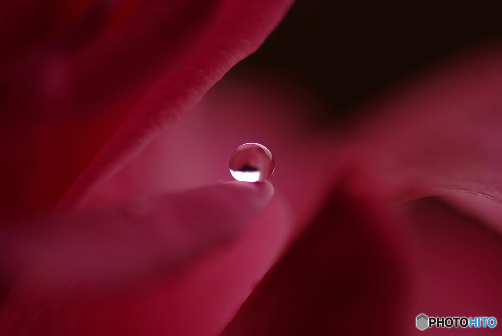 今宵の月はPink moon