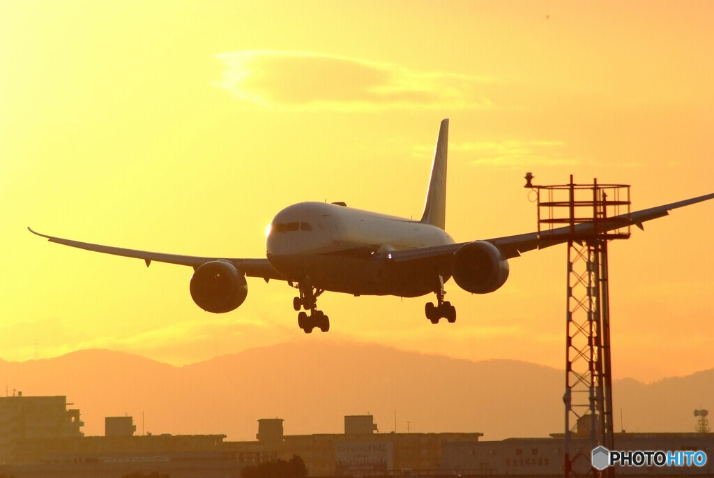 最後の日曜日✈Boeing 787-8