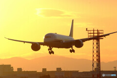 最後の日曜日✈Boeing 787-8