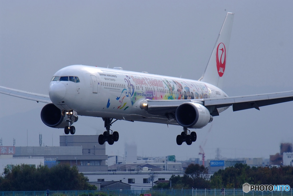 Happiest Celebration!