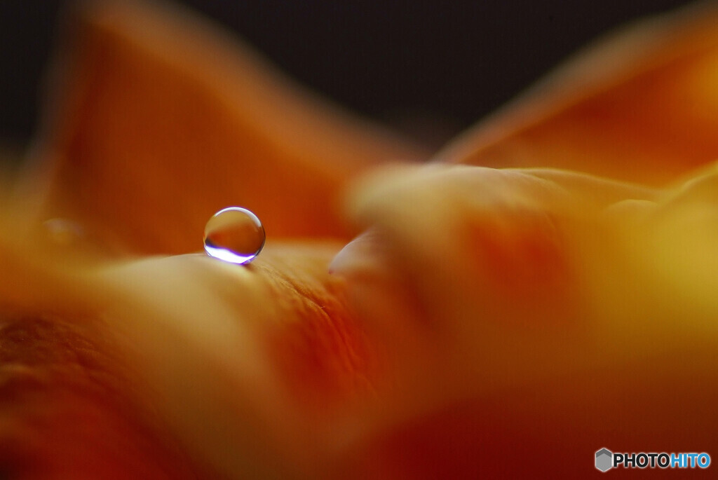 朝の出会いⅢ・瞳