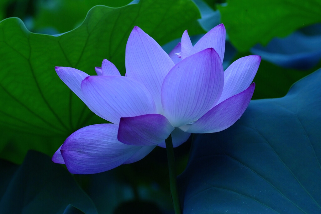 ICHIZU✿愛しい週末