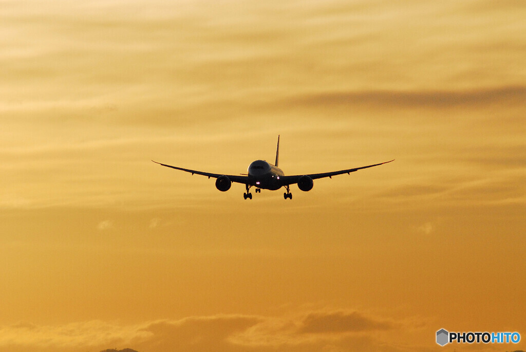 January 3nd✈Boeing 787-8