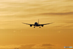 January 3nd✈Boeing 787-8