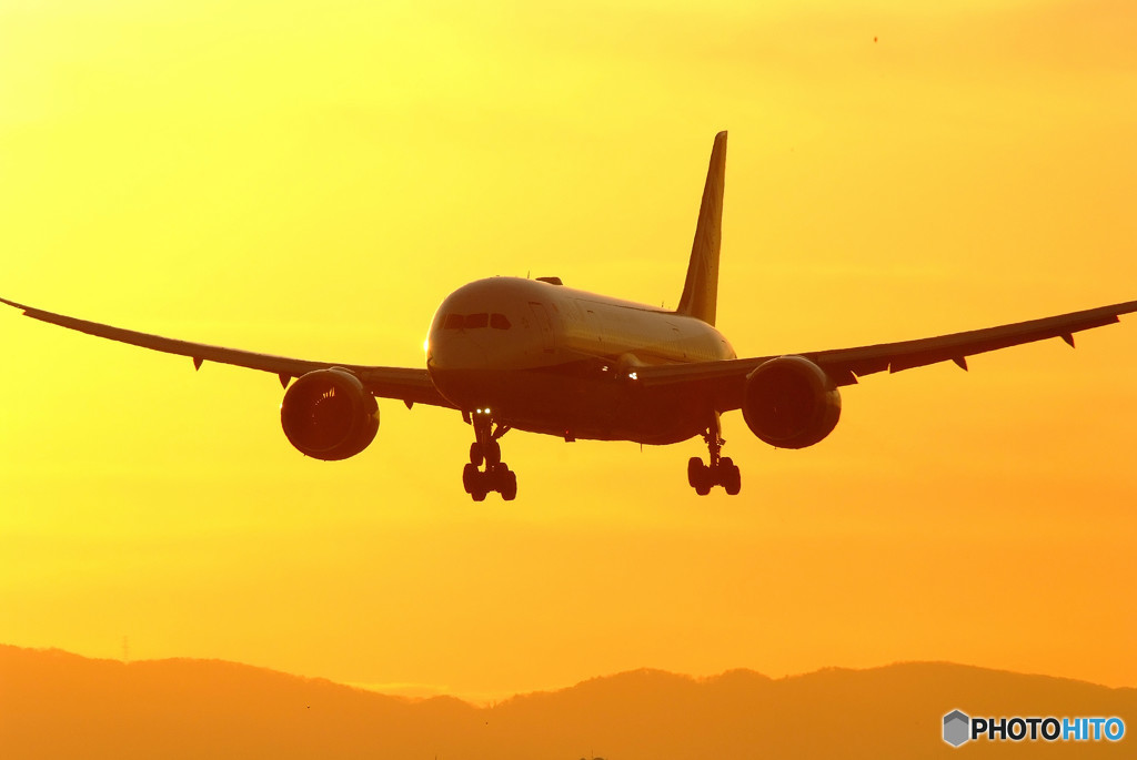 果てしなき追求・787