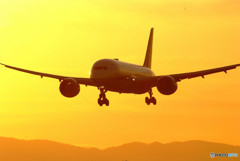 果てしなき追求・787