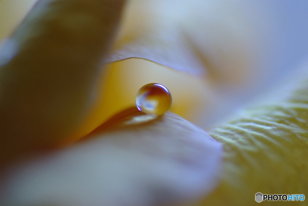 マイライフ・雫