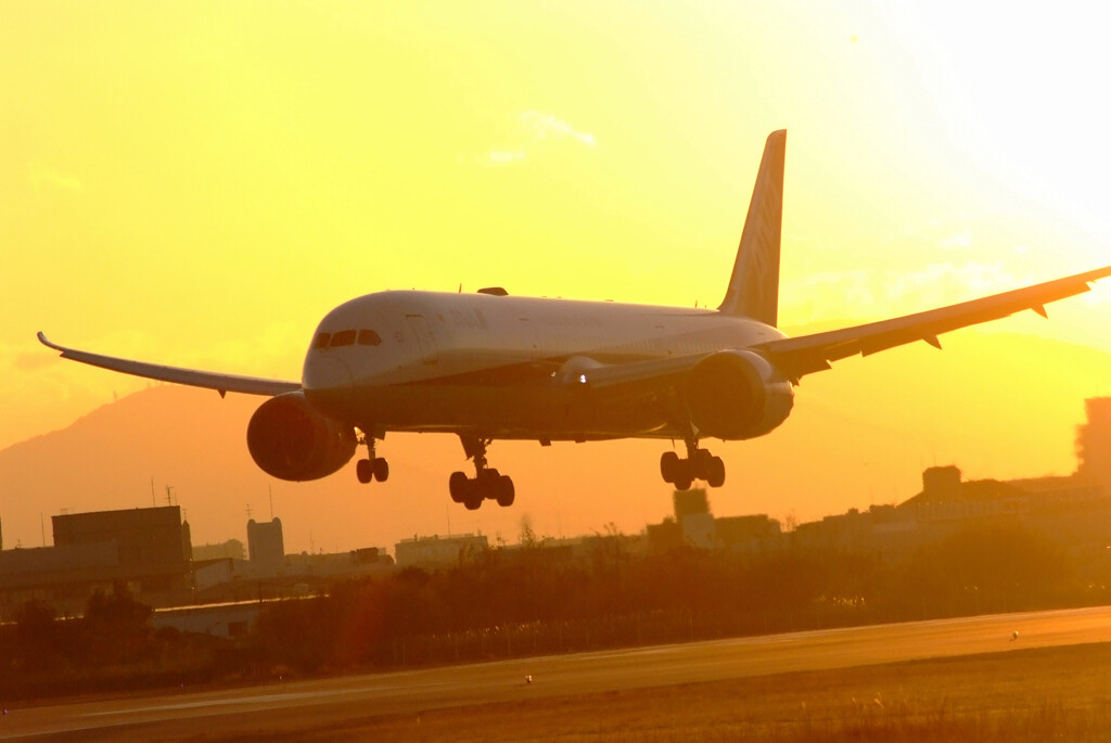 Morning Hunter✈Boeing787-9