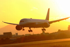 Morning Hunter✈Boeing787-9