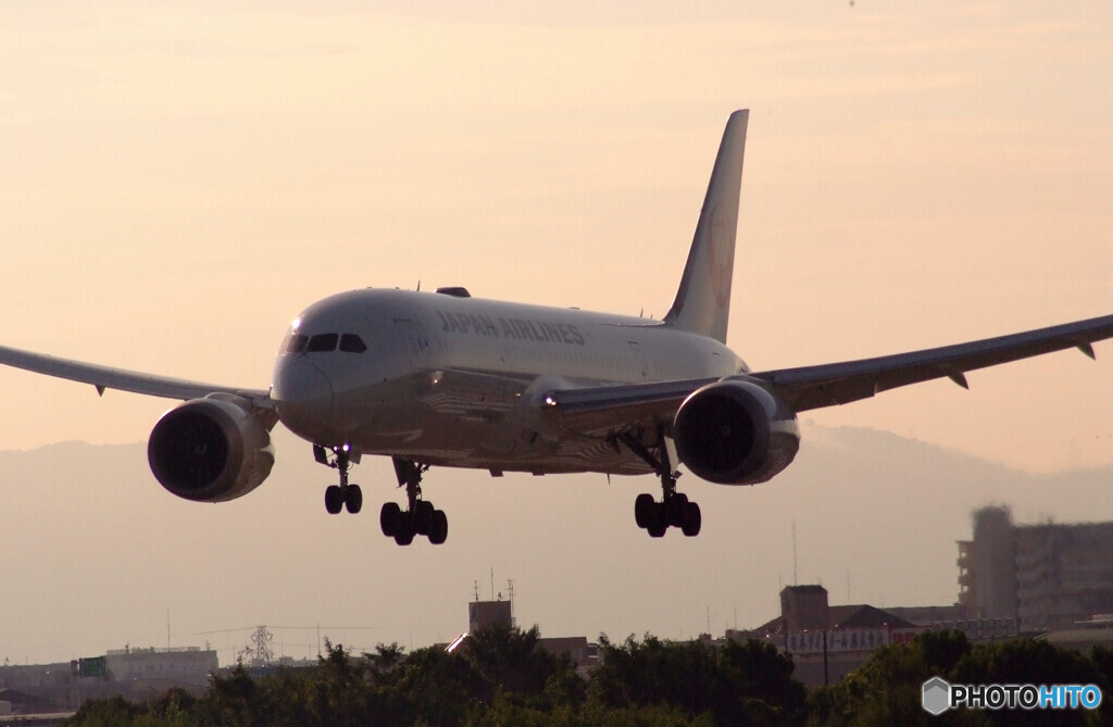 9月の旅人Ⅳ✈Boeing 787-8