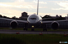 2021夏の想い出Ⅴ✈787-8 Dreamliner 