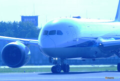 蒼の世界✈787-8 Dreamliner