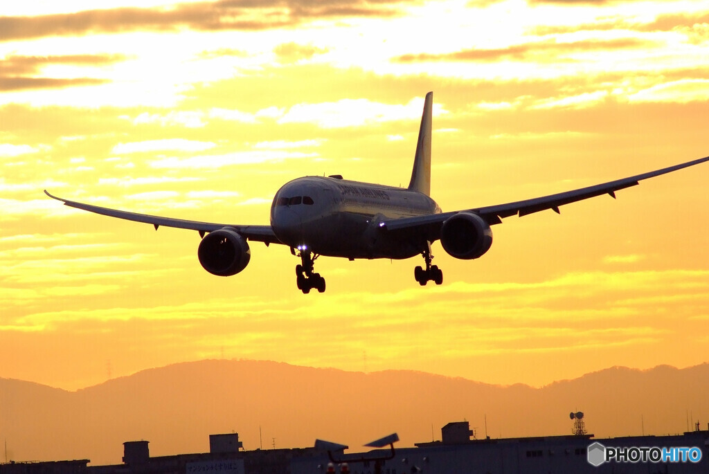 陽はまた昇る✈JAL Dreamliner