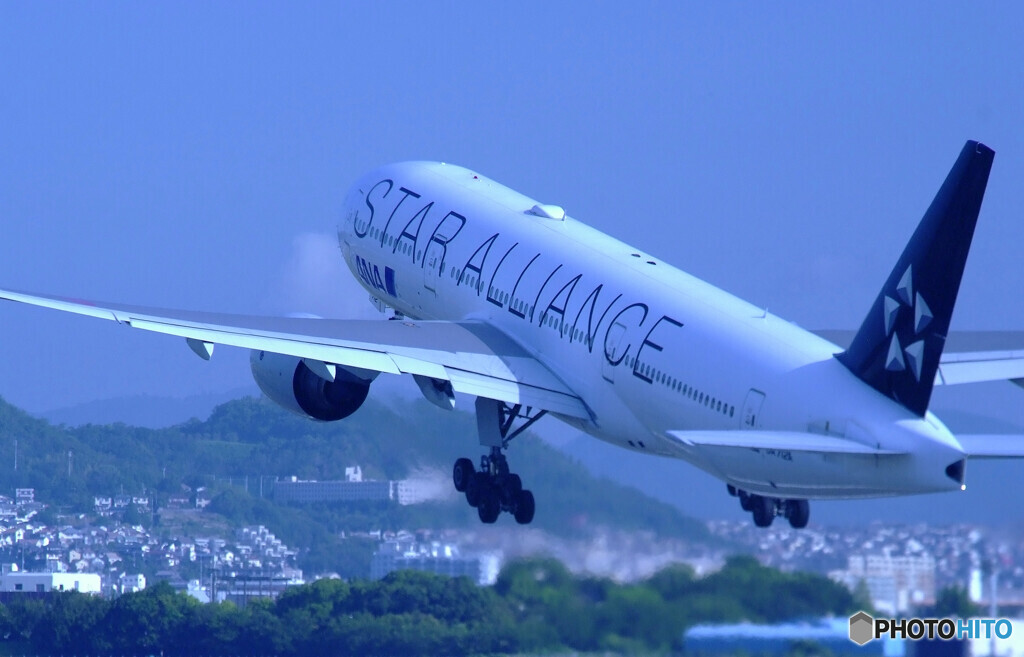 Good Morning Bird✈777-200