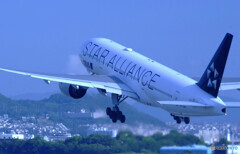 Good Morning Bird✈777-200