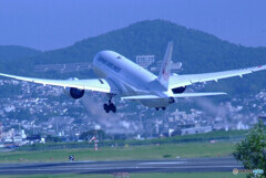 彩月の空へ✈787-8