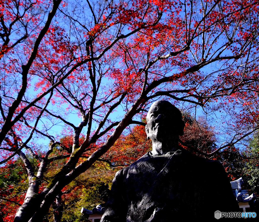 俺の紅葉