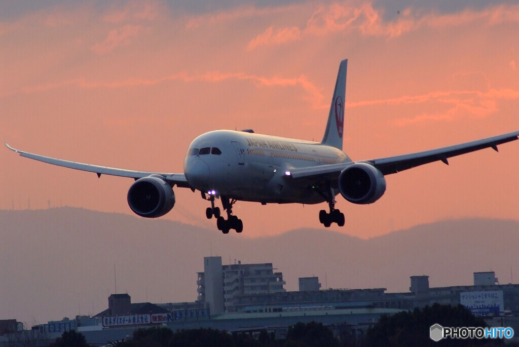 俺の朝焼け✈Dreamliner