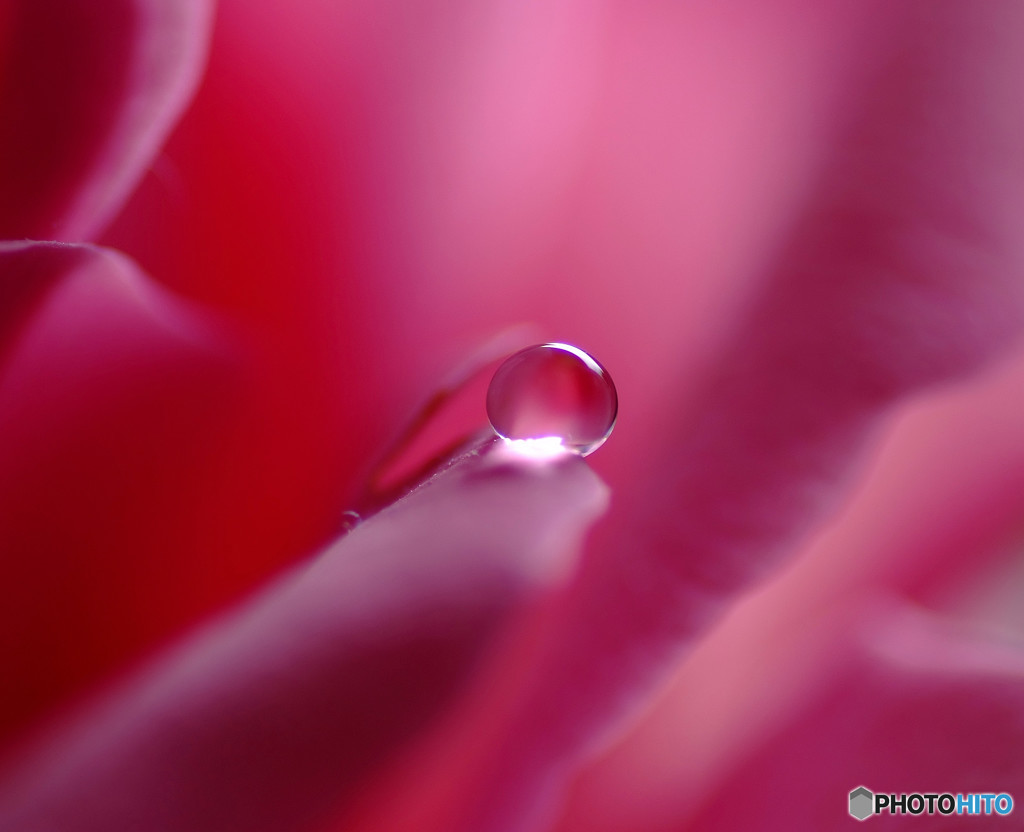 光を求めて・雫