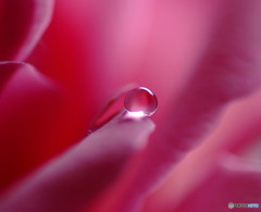 光を求めて・雫