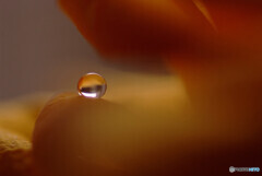 夢想玉✾しずく