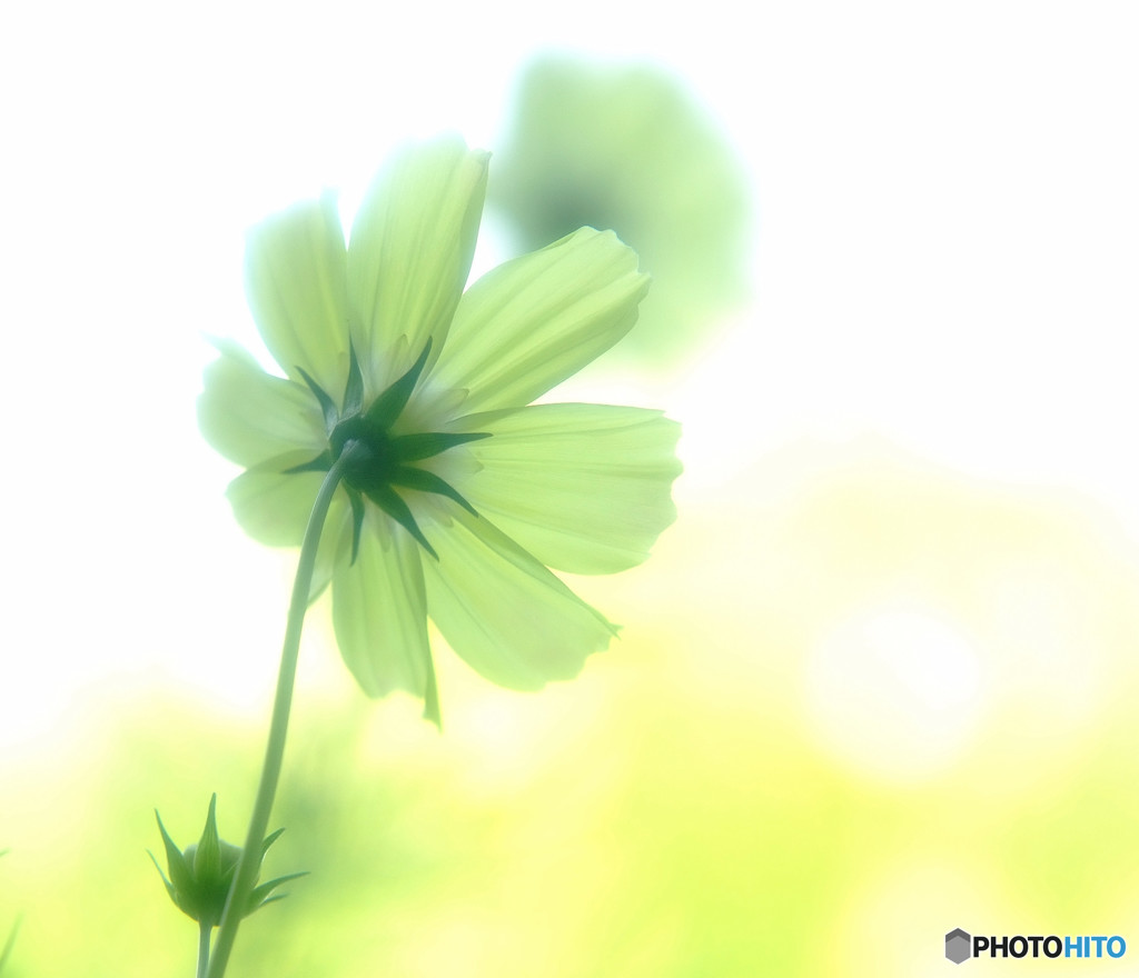 神無月の想いで