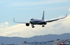 HARADAの朝✈Boeing 767