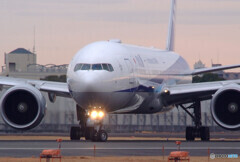 Natural ColorⅡ・BOEING777