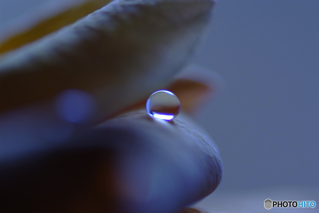 恋する惑星・皐