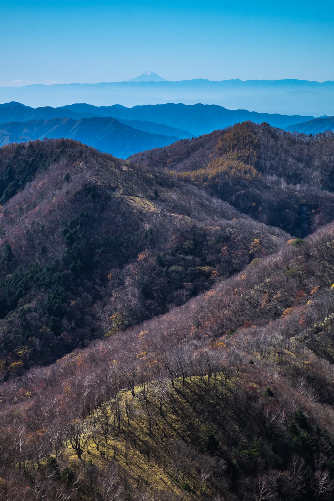 日光の半月山に富士山を見ました