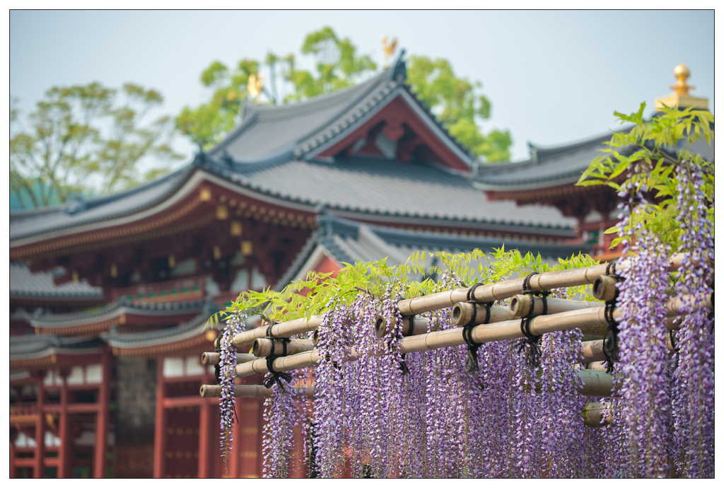 Ujibyōdōin fuji