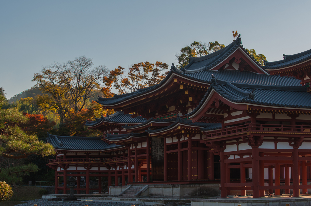 夕の平等院