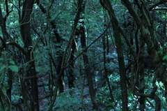 深く・・・