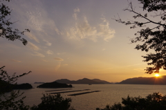 瀬戸内海の夕日