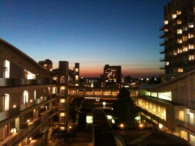 大好きだった景色