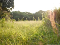 公園