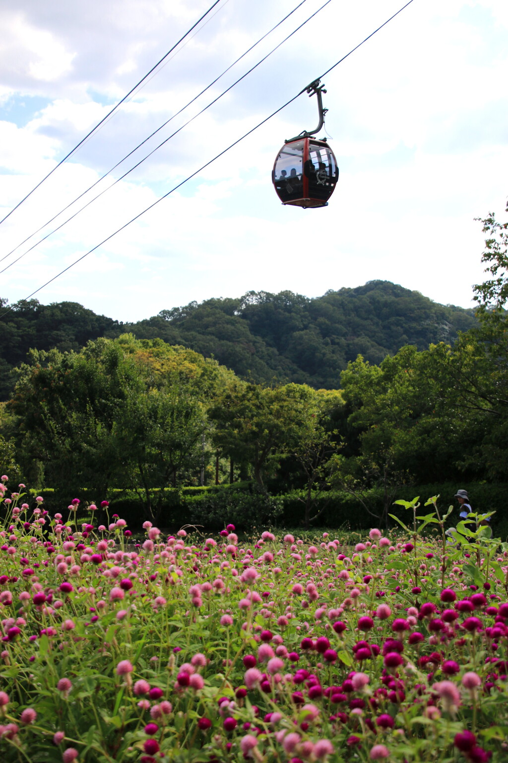 　ゴンドラからの眺め