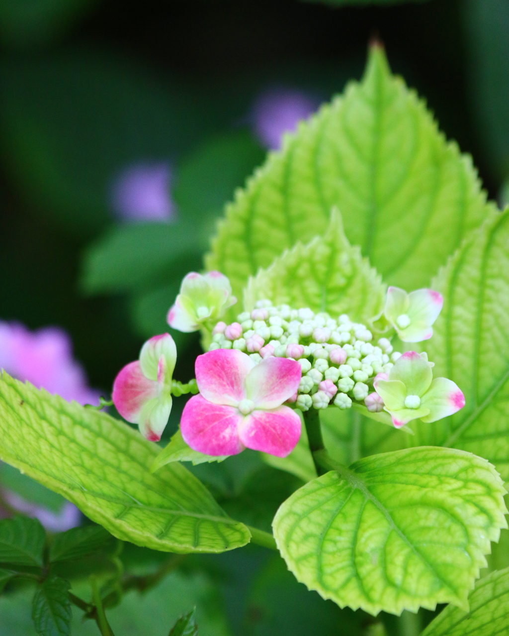 これからだね、、