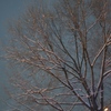 R0049208