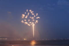 夜空の向日葵