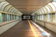 光の通路