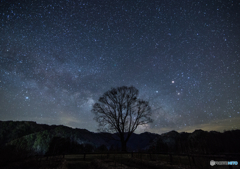 開田星景