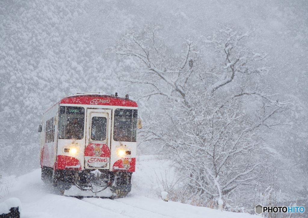 雪の樽見鉄道②