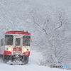雪の樽見鉄道②